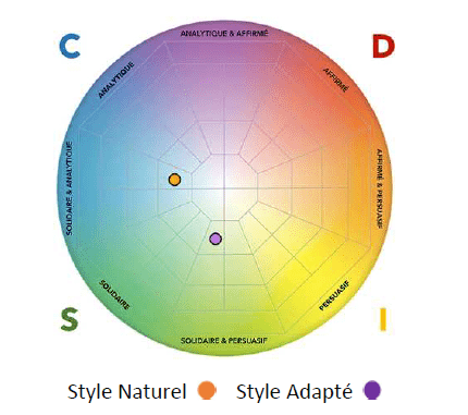 Coach, consultant DISC